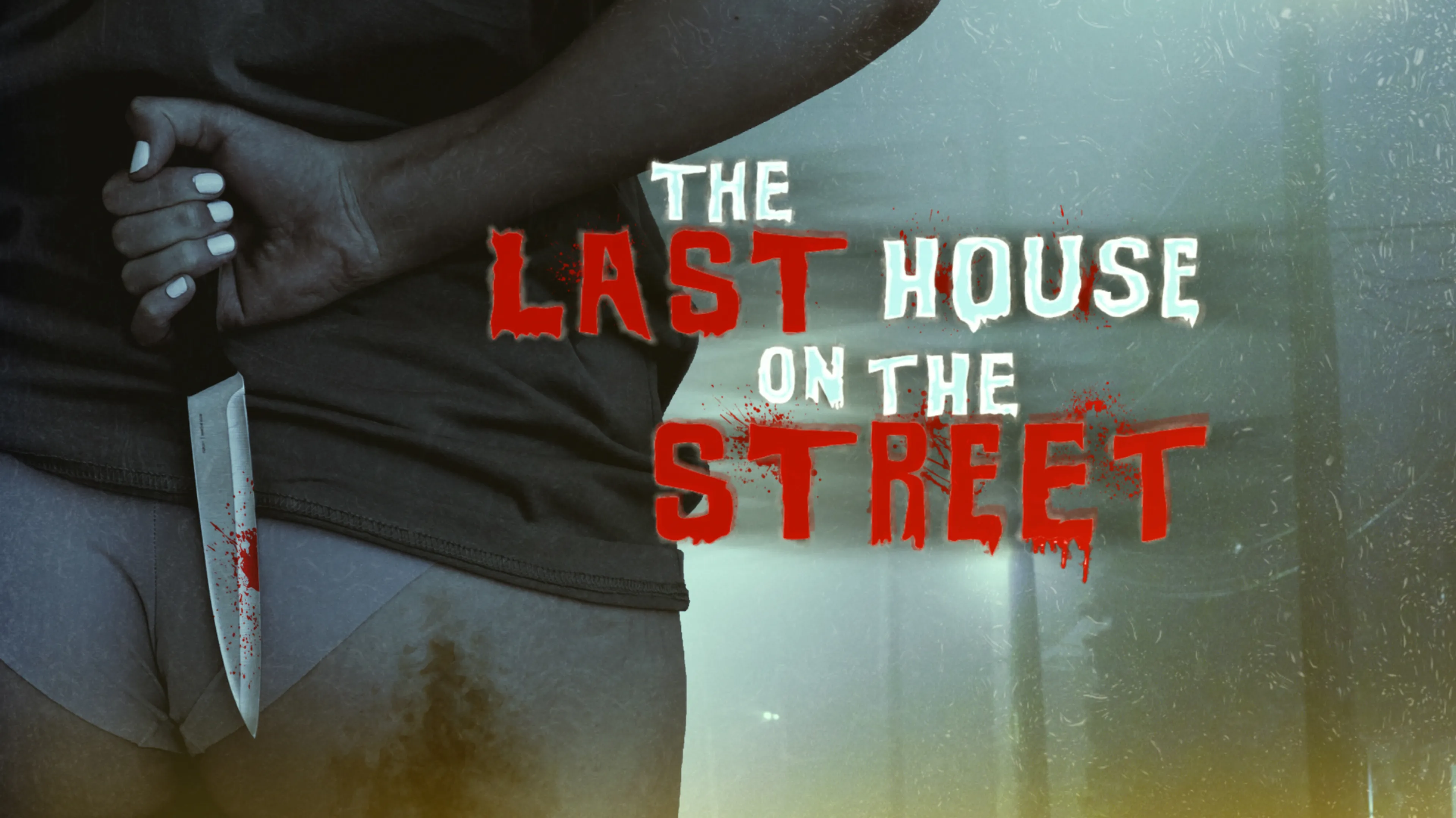 The Last House on the Street poster